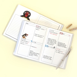 Pinggu Diary