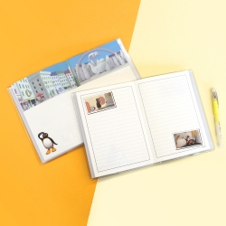 Pinggu Diary