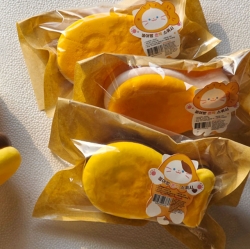 Bungeoppang Chewy Rice Cake Squishy (Random)