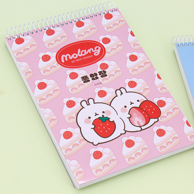 Molang Wireless Notebook - 100 Sheets (Random)