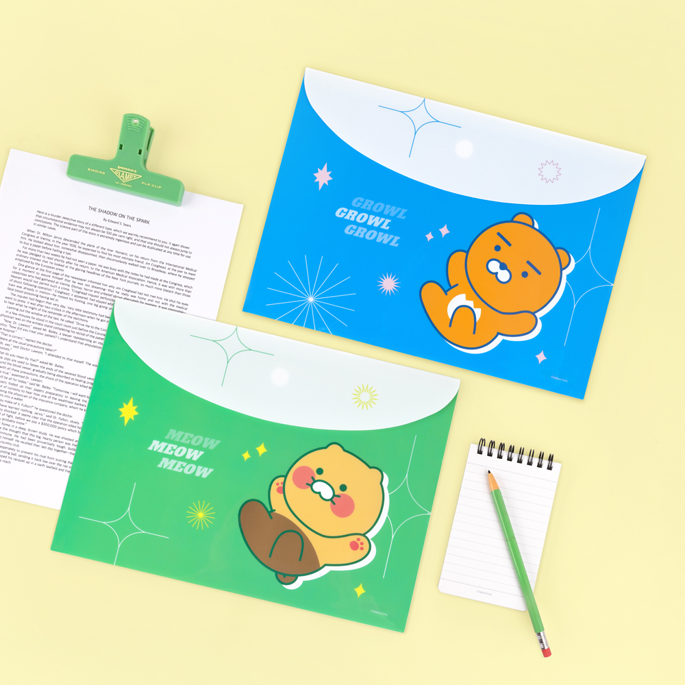 Kakao Friends Vivid Envelope Folder