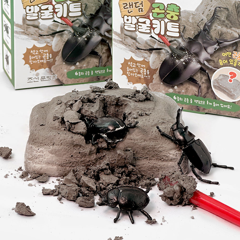 Random Insect Excavation Kit