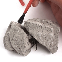 Random Insect Excavation Kit