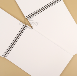 Pokemon Comprehensive Notebook 3000 (Random)