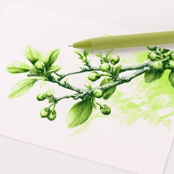 Gel Pen Sprout