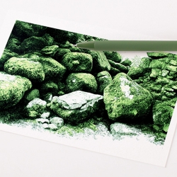 Gel Pen Moss