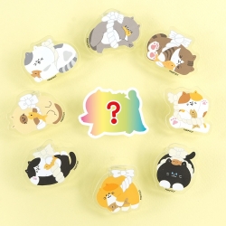 Random Acrylic Magnet Clip, 18pcs