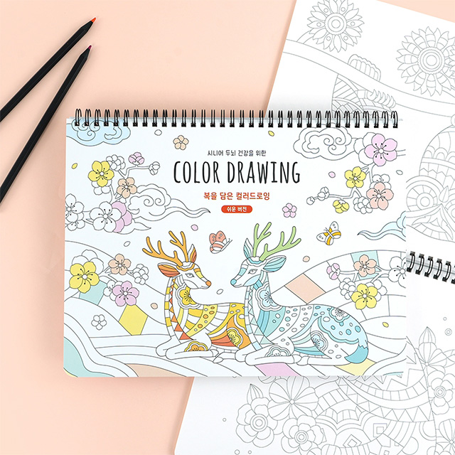 Color Drawing (Easy Version)