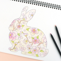 Color Drawing (Easy Version)