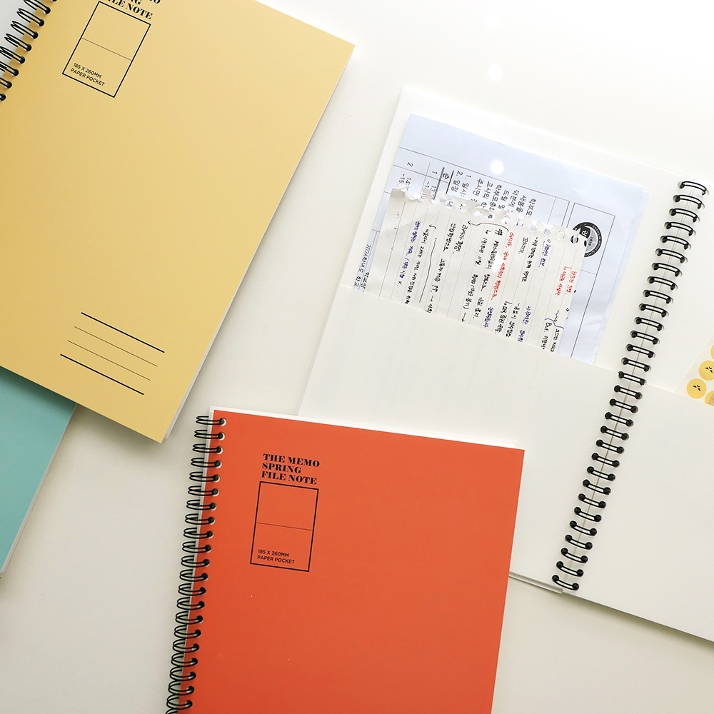 GMZ THE MEMO SPRING FILE NOTE