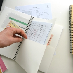 GMZ THE MEMO SPRING FILE NOTE