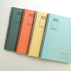 GMZ THE MEMO SPRING FILE NOTE