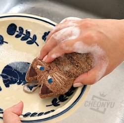Sparkling Dish Cleaning Sponge
