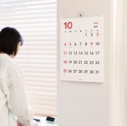 Gi-Bon 18months A3 Wall Calendar