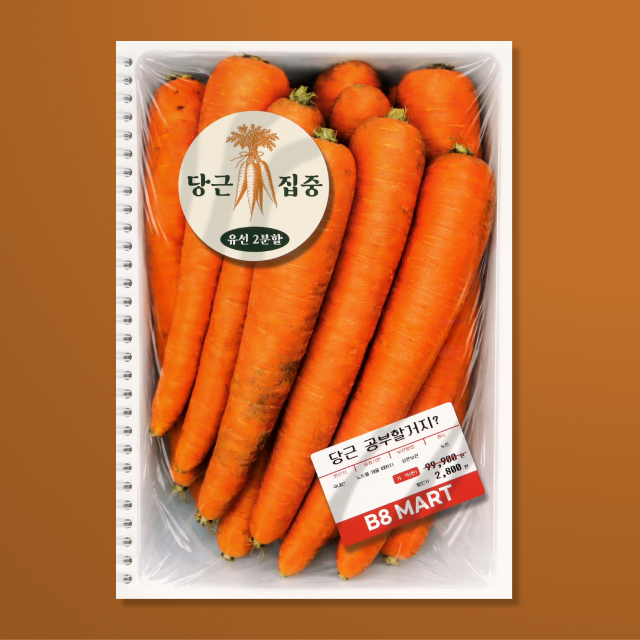 Mart Spring Note Carrot Half-Page Lined Notebook B5