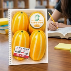 Mart Spring Note Korean Melon 4-Quadrant Grid Notebook B5