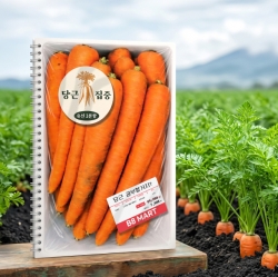 Mart Spring Note Carrot Half-Page Lined Notebook B5