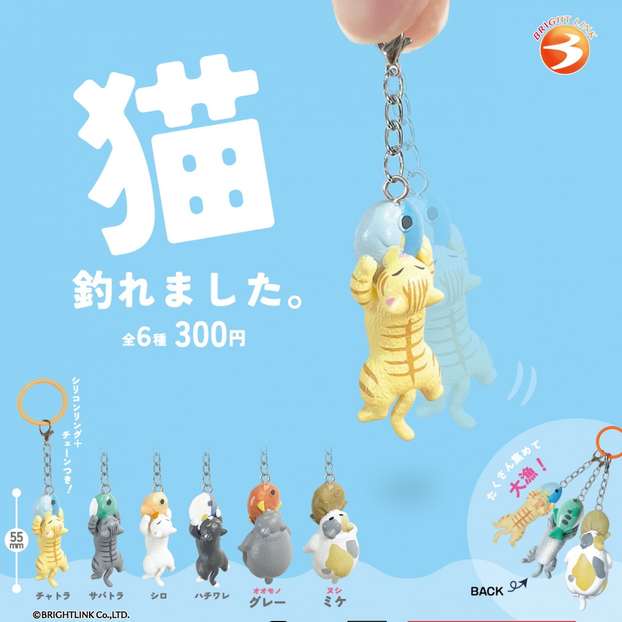 Capsule_Cat (40 Pieces / 1 Set)_Free Gacha Box