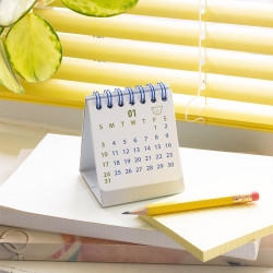 Brunch Brother 2027 Mini Desk Calendar