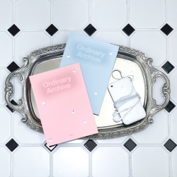 2027 Ordinary Archive Diary