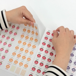 2027 CALENDAR STICKER SET