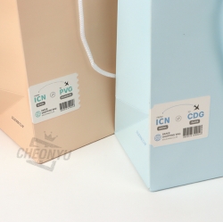 Paper Shopping Bag Simple