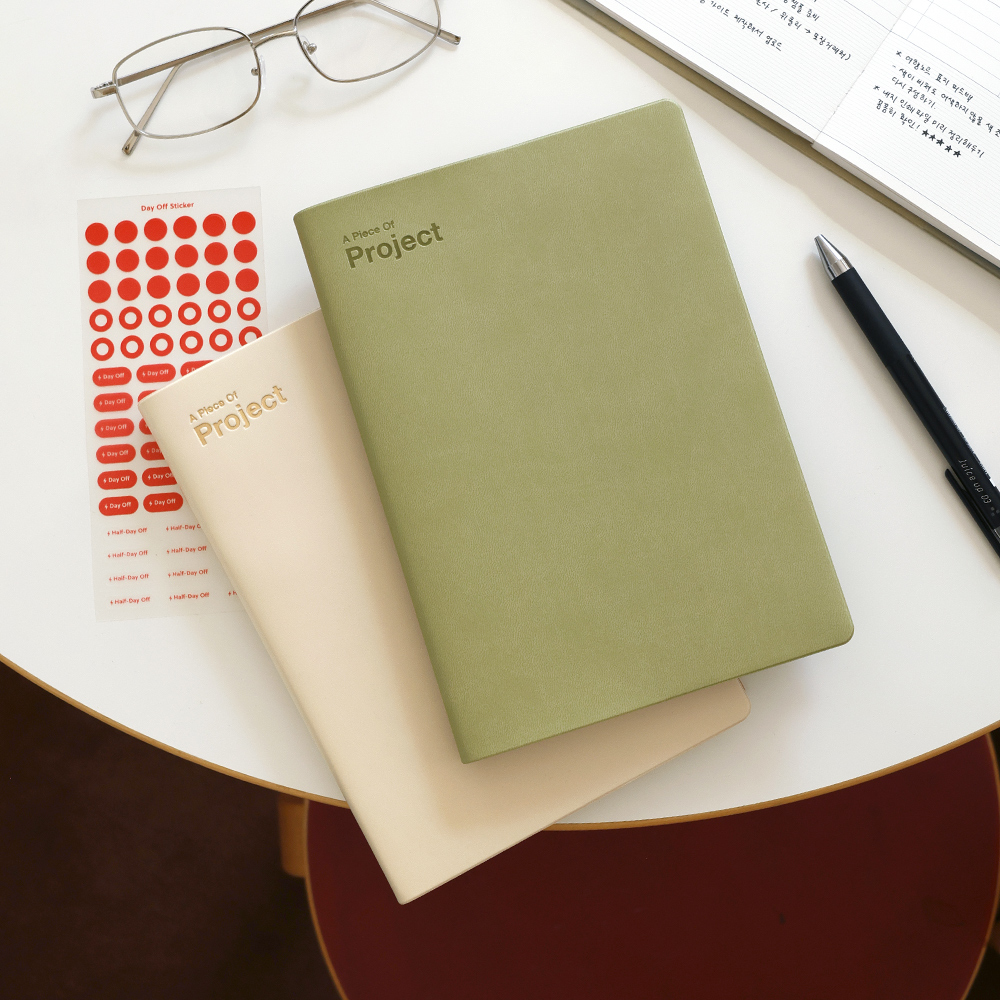 2027 project diary