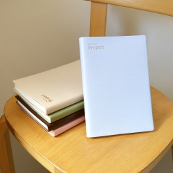 2027 project diary
