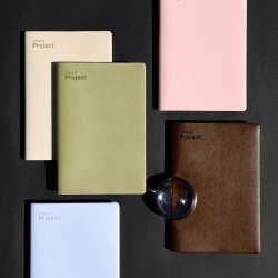 2027 project diary