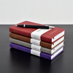 2027 Month Essay Diary